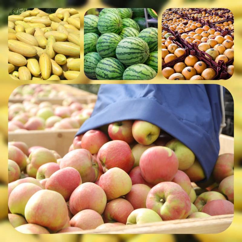 <span>Экспорт 221,613 тонн сельхозпродукции в этом году из Гаср-е Ширин в Ирак</span>
