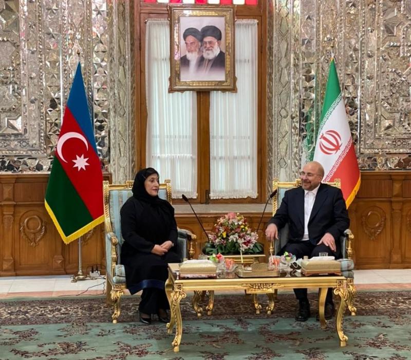 <span>تاکید رؤسای مجالس ایران و جمهوری آذربایجان بر توسعه مراودات تجاری</span>
