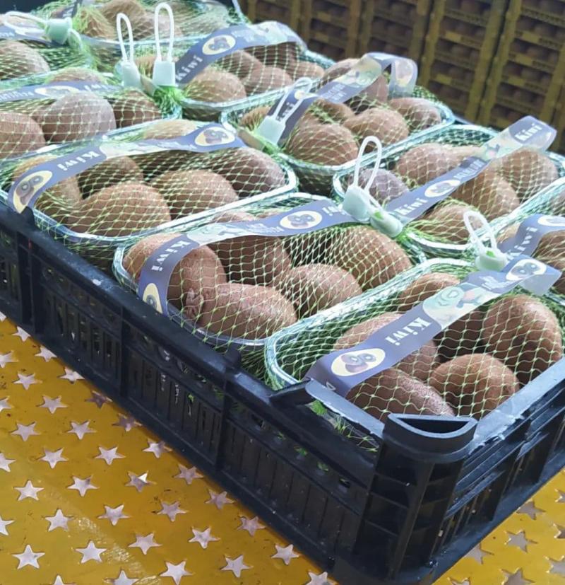 <span>Продукция прикаспийских регионов открывает новые рынки: в Узбекистан через порт "Амирабад" за месяц экспортировано 439 тонн киви</span>
