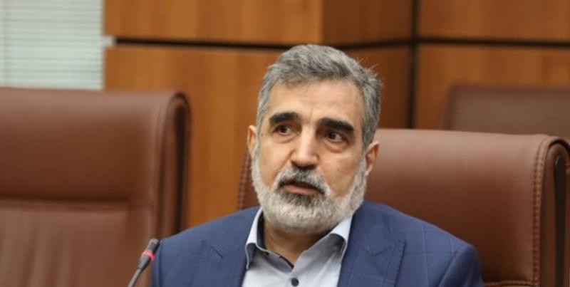 <span>Кямалванди: две недели назад МАГАТЭ было уведомлено о подаче газа в новые центрифуги IR6 на объекте Фордо</span>
