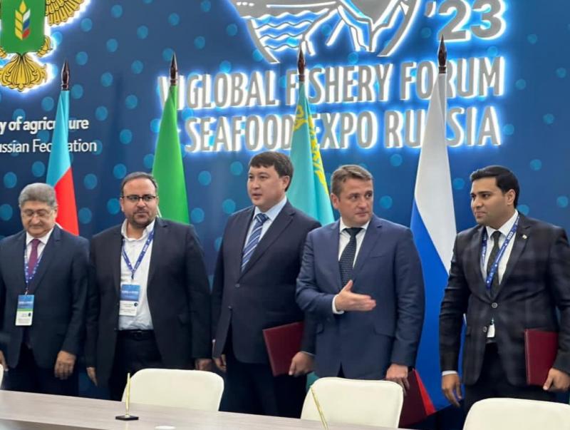 <span>تمديد ممنوعيت صيد تجاري ماهيان خاوياري تا پايال سال 2024 ميلادي</span>
