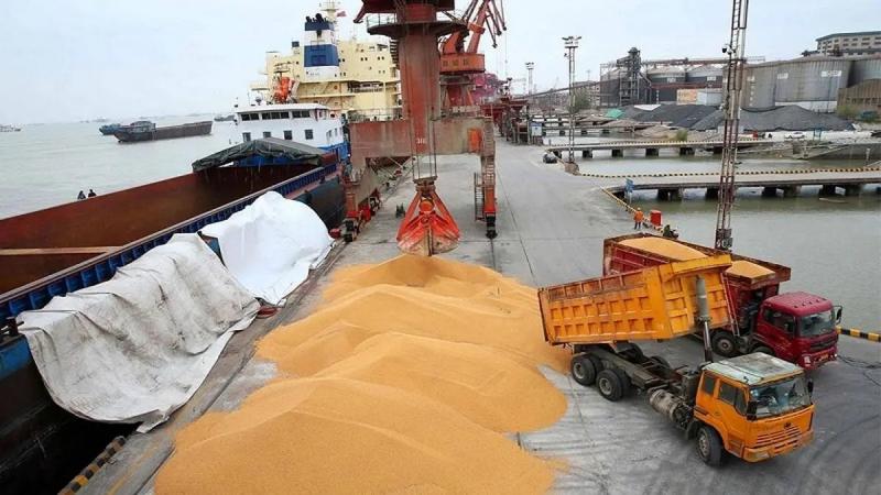 <span>В апреле с территории Астраханской области отправлено на экспорт более 410 тысяч тонн зерна и продуктов его переработки</span>
